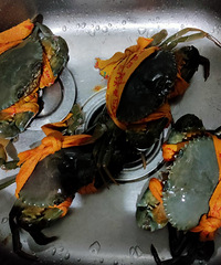 ��ʶ�����ӱ���з�أ���ֻ��з�����а�����