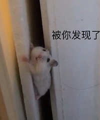 �Լ�С�ױ���1ϵ2013��Ŀ���ڣ�116i�����ͳ���