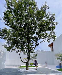 2021��������ˣ�������������������һ᲻�������