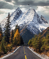 �Ĵ����ȥ�ĵط�