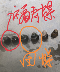 ץ����������˿��20����δ����