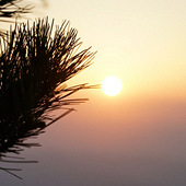 ����ɽ����