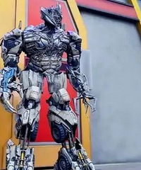 �������족���ٱ�