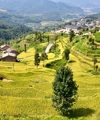 [����]����ͤ������ͷ�壬ȥ������������������