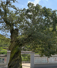 565������Ŀ�����