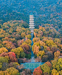 ������Ͼ�