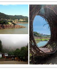 ��Щ�ط���Ҷ�ϲ����