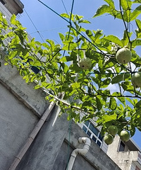 ���＾���޶����¡��ְ��������������˹��ڷ���Ҳ��