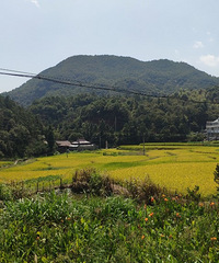 �Ӳ�ͬ��������̨�ݻ������ɽ�������ǱȽϴ��