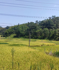 �Ӳ�ͬ��������̨�ݻ������ɽ�������ǱȽϴ��