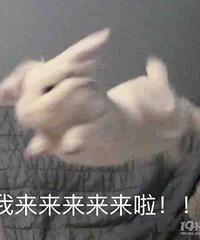 ˫�򱼸������̫�����ˣ�96��С����ڴˣ�