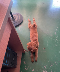 ����������