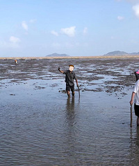 96���ٺ�GG������������ƣ����øɷ�����Ϸ