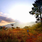 һ��һľһ����