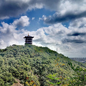 ���Ƹ��ϰ��Ʒ�