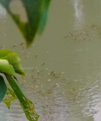 [������]�����϶����㣬��ɫ�Ƕ�ô��������ô����