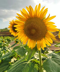 94��GGϣ���ҵ�ϲ������ ������172�������ϣ��Ը��º�