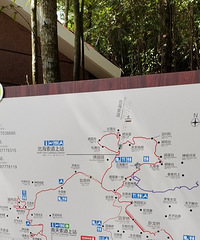 [����]�������ɾ����е������ָ�֢���ص�����Ҳ����ȥ��