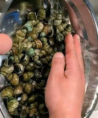 �����ϴ��˿������ϴ����ɾ�