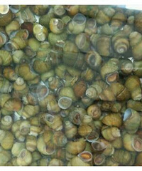 �����ϴ��˿������ϴ����ɾ�