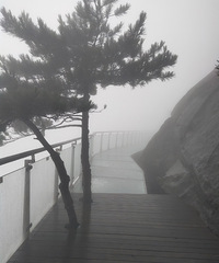 �������������书ɽ��ɽ�����죬ɽ��ȫ������