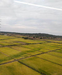 �������������书ɽ��ɽ�����죬ɽ��ȫ������