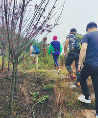 ͽ���ΰ�ŵ�������լ�����·��������