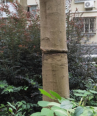 ˭��ô��������