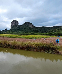 ������侷羰�ޣ�����һƬ���