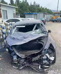 �����˹��Ӯ�ˣ�����άȨ�����ѳ�ɲ��ʧ�飬��������˹����Ǹ