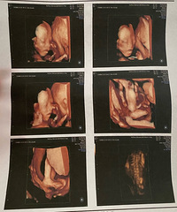 ������һ�׶Σ�2021�����ռǣ�