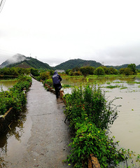 [������]�����еļ�����������������յĹ��ӣ�����Ѽ��