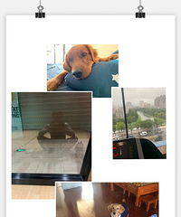 ��ʮ�����׸�¥��94��Ы��