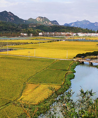 ��������˵����