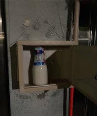 ���̹����ְҵͦ����ģ��峿4��25��ţ�̾��͵���