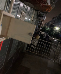 ���̹����ְҵͦ����ģ��峿4��25��ţ�̾��͵���