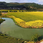 ��������˵����