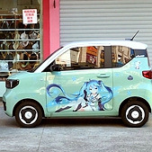 ����ɫ��ϲ��