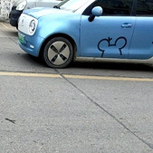 �������Ҷ��Ƭ