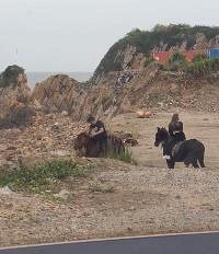 ���к�ȥ��