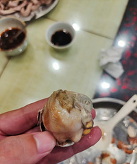 ��ɫС�Է�˵������Ƕ��Թ���