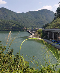 ���ɽ����