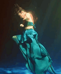 �������ӵġ����������Ρ�����ը����