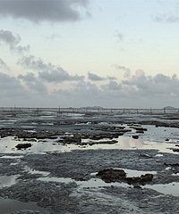 ���ſӿ���