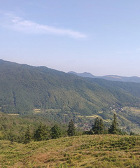 ��̨��ɽ����ʯ���μǣ����۾��޽���