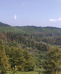 ��̨��ɽ����ʯ���μǣ����۾��޽���