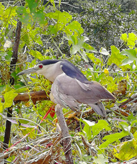 [������]�������