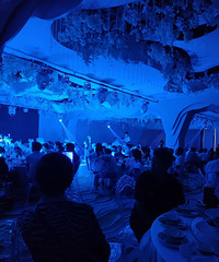 �μӻ���һֱ����ϯ������һ���ӵĲ˳Բ��ţ�������