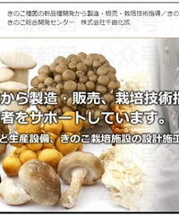 ����С������Ů�����������������͵Ľ��빽����Ļ��������