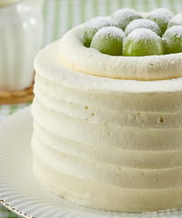 �������ᵰ�� | ȫ�����ڿ��ϲ���޶���